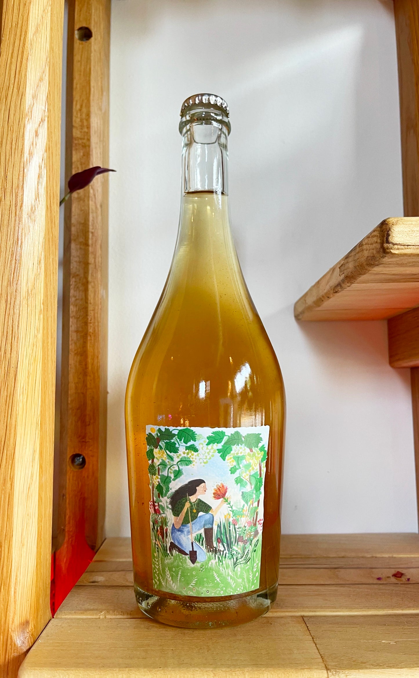 Stella Crinita Omaggio Viognier 2021